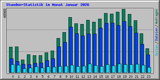 Stunden-Statistik im Monat Januar 2026