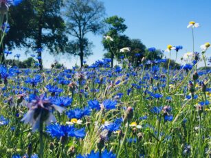 Hinterland-Usedom-Radtour