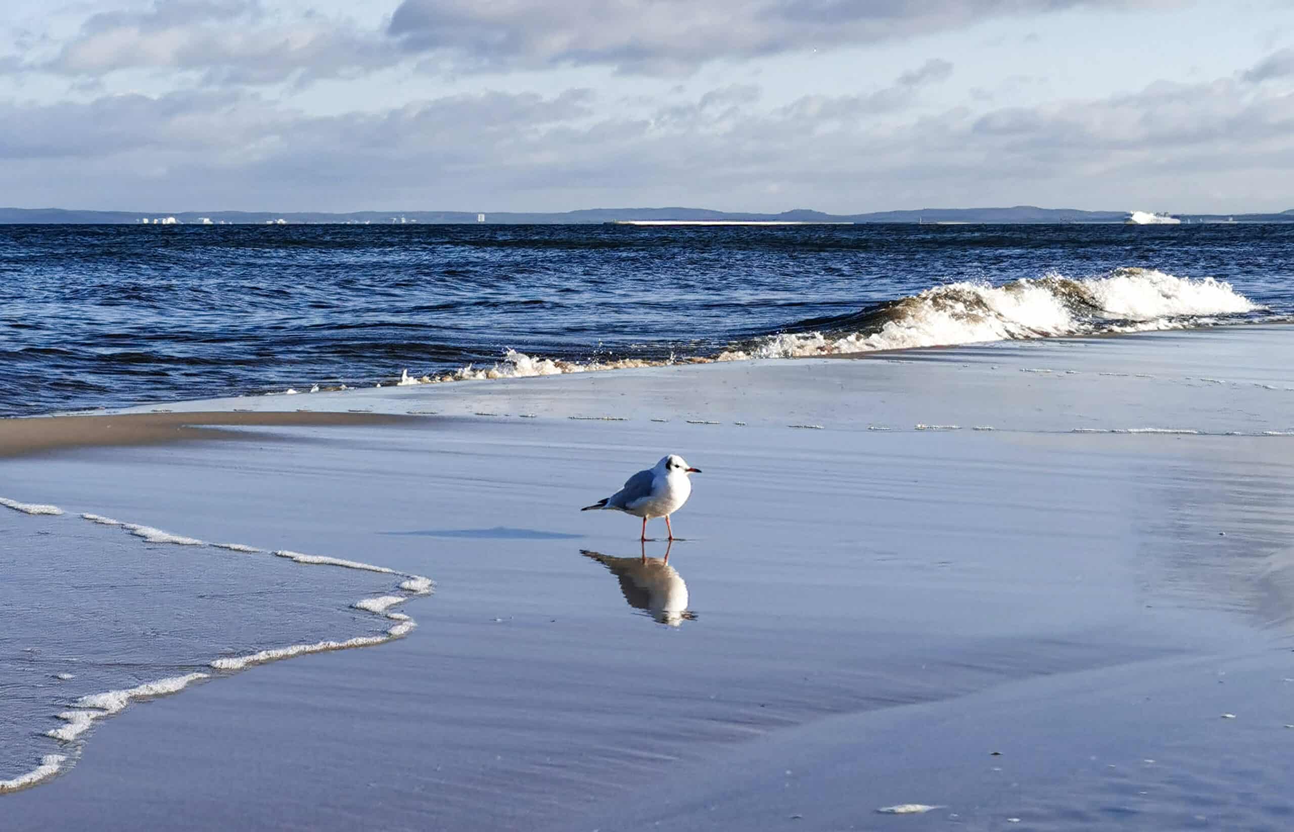 Lust auf Meer 1