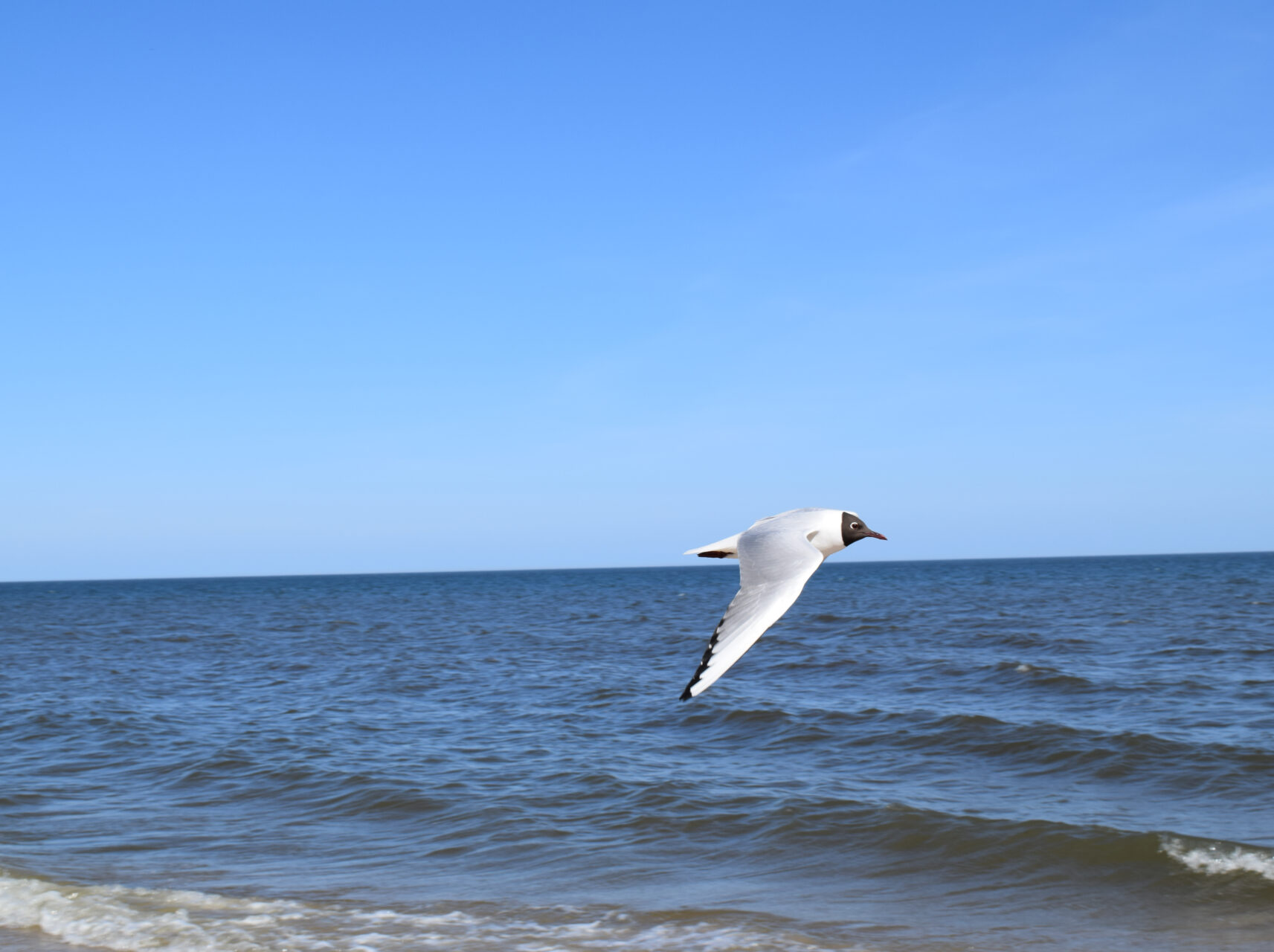 Usedom-Insel (5)